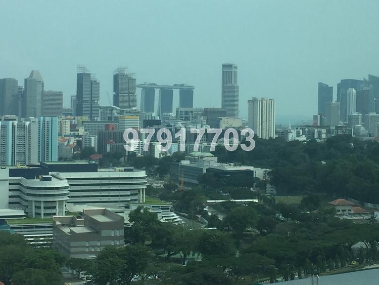 Park Infinia At Wee Nam (D11), Condominium #94874002